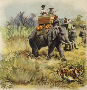 O Príncipe de Gales caça ao tigre na Índia (chromolitho)